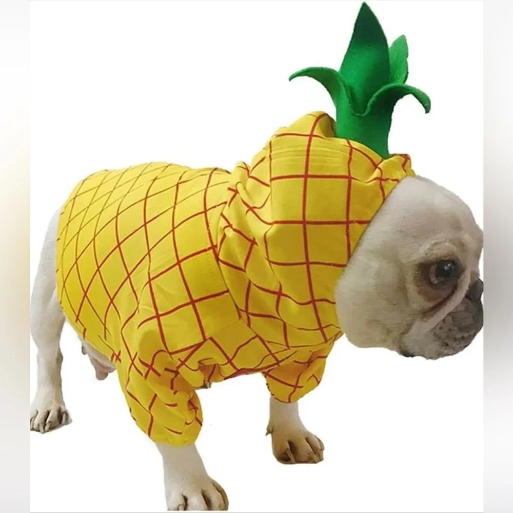 Coppthinku dogin dog